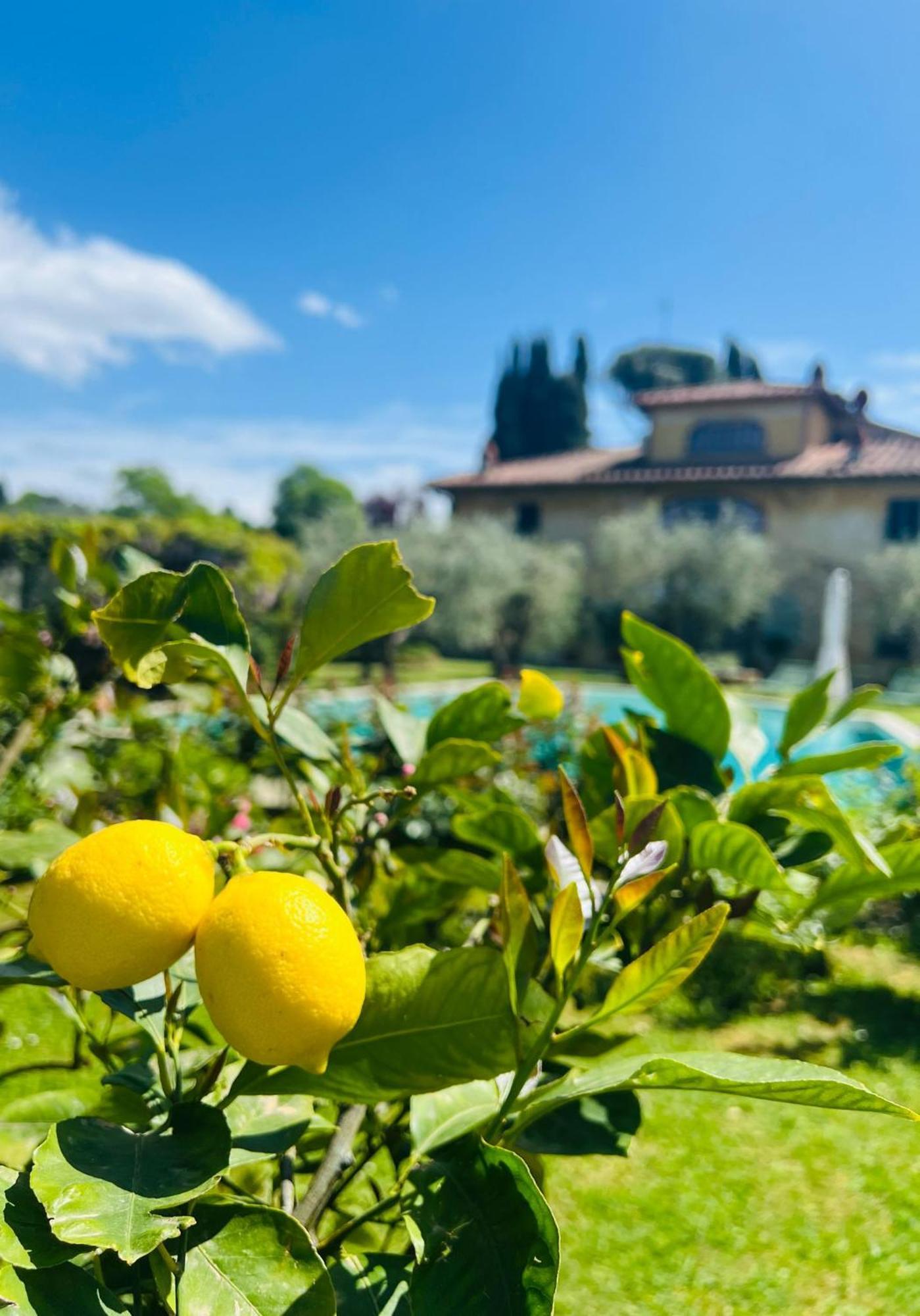 Villa Giotto Florence Pozzolatico Kültér fotó